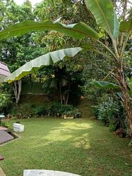Woodlands Park (D25), Semi-Detached #539508661